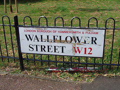 Wallflower Street