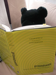 "groundswell"を読むクマ