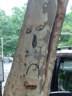 tree graffiti