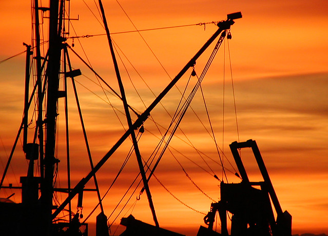 Silhouette of Masts