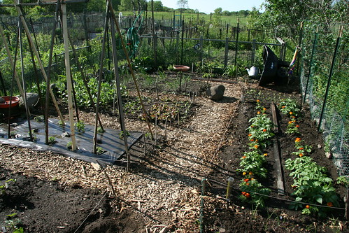 community garden plot
