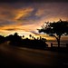 Kupang Sunset