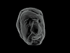 Current 3D Scan and animation of Matt Murphy Clay Head Sculpture