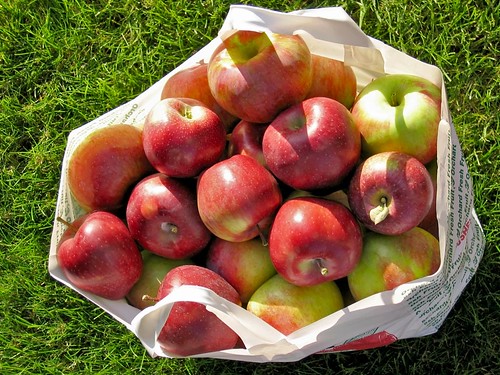 apples bag