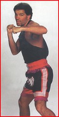 Champion Kick Boxer Otomix Catalog