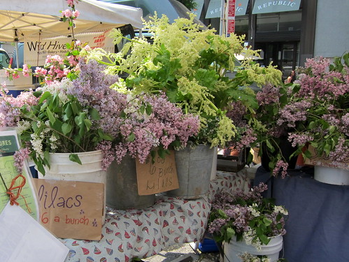 Lilacs at the Union Square Greenmarket