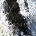 Wet rocks in the falls