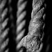 Rope (JonathanRobsonPhotography.com)
