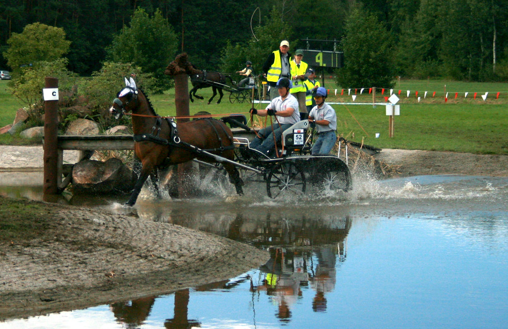 World Singles Horse Driving Championsips / Jarantów 2008