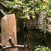 Day 10 - Biodome Montreal