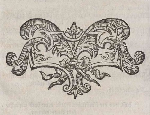 BibliOdyssey: Printers Ornaments