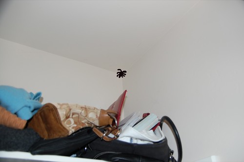 spider3.jpg