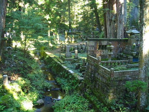 Cemetary in the forest