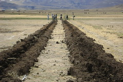 Results of ground turning competition at Huanuco Viejo