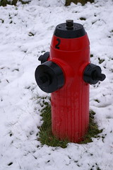 Anglų lietuvių žodynas. Žodis hydrants reiškia hidrantai lietuviškai.