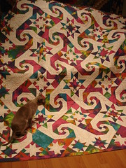 Calico Cat Wholesale Quilt Patterns