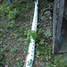 Damaged irrigation pipe