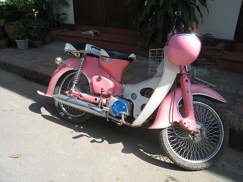 Pink moto