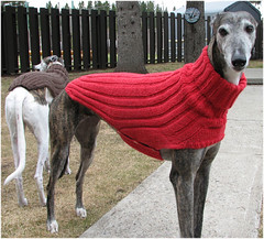 Ravelry: Side Button Greyhound Sweater pattern by Terri ...
