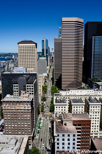 Skyline from Smith Tower