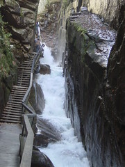 Brook Rushing thru Gorge at Franconia Notch
