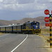 The Cuzco to Puno train passing by