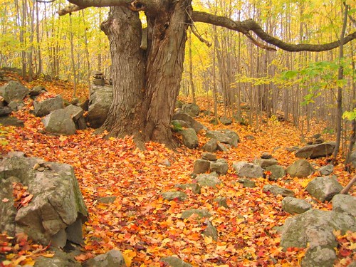 Fall colors along the nature walk
