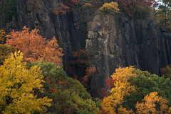 cliffs of the palisades