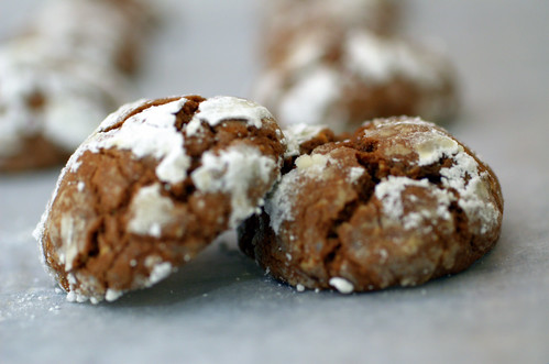 chocolate hazelnut crinkle cookies