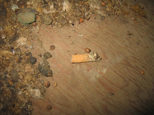 Old cigarette butt on the floor