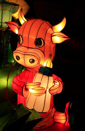 _MG_4528 - Mid Autumn - Baby Calf With Milk Bottle Lantern