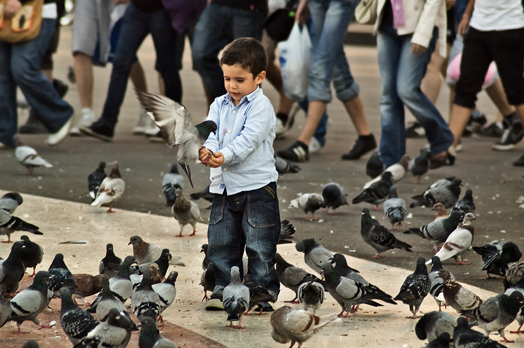 Kid feeding pigeons at Plaça Catalunya