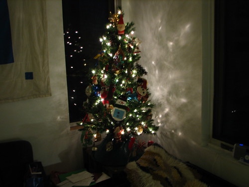 Oh, Christmas tree!