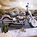 Exposição da Harley Davidson