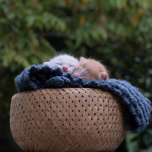 Tiny, pinky and sleepy :-)