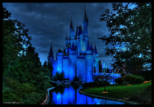 Disney World Magic Kingdom Castle - Robert D Bruce