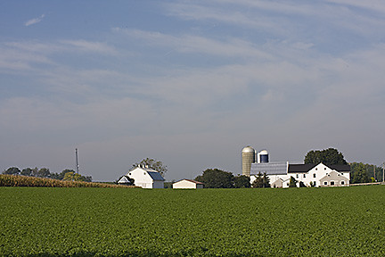 farm