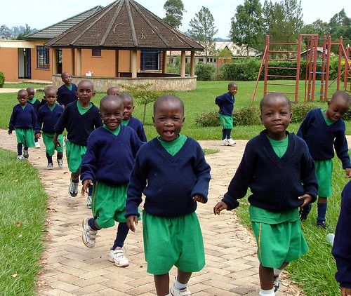 The Daily Fight For Orphans