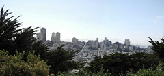San Francisco from the Coit tower