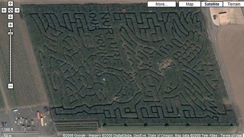 Lone Pine Farms Corn Maze