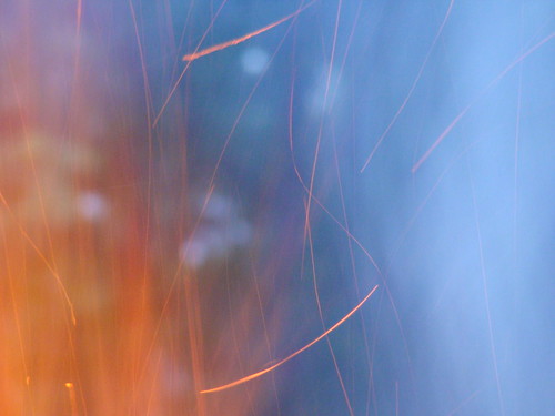 2715778480_b856efed0f.jpg