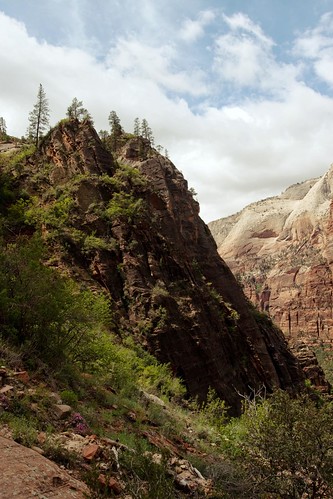Hidden Canyon Trail @ Zion National Park