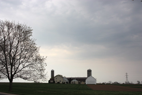 A farm near the Olde Amish Inn