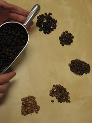 Catfish Coffee Roasting Steps