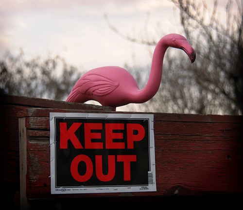 Flamingo Security