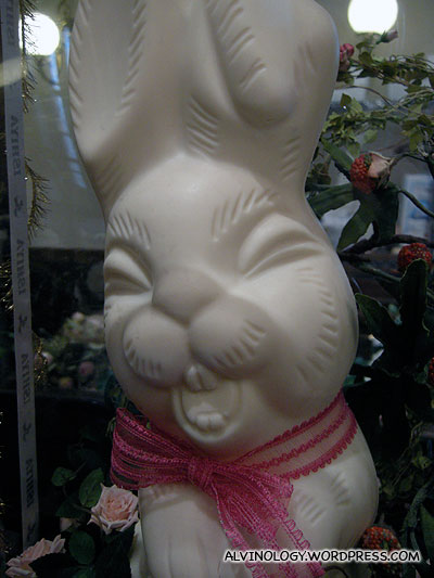 Giant white chocolate bunny