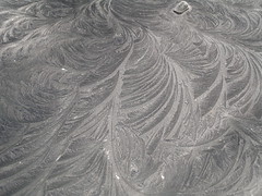 Frost patterns 2