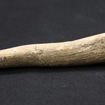 <b>100.99hf01.1.99_2</b><br/> Antler; Flaking Tool
Unknown Provenience<a href="//farm4.static.flickr.com/3313/4575210846_5546c8cfa3_o.jpg" title="High res">&prop;</a>
