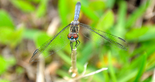 4591368077_4c8248ab01.jpg