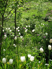 primavera 2010, 3.04.010, 13